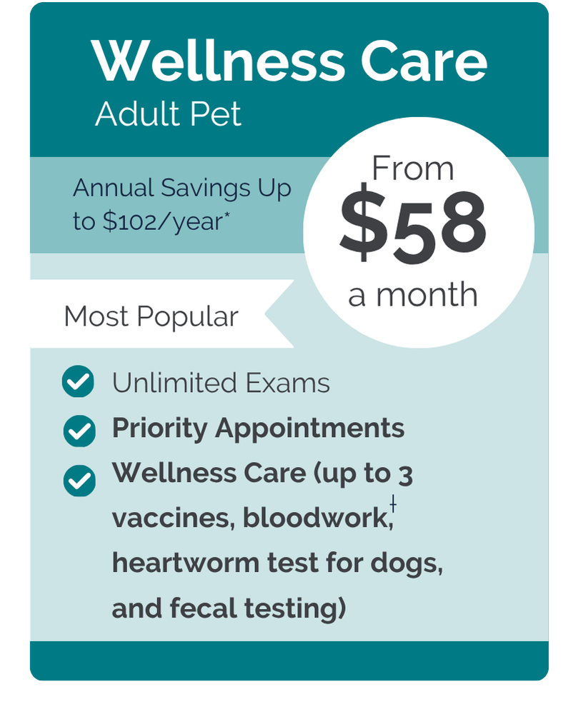 Kersting VIPet Plan_pricing_Wellness_Modern